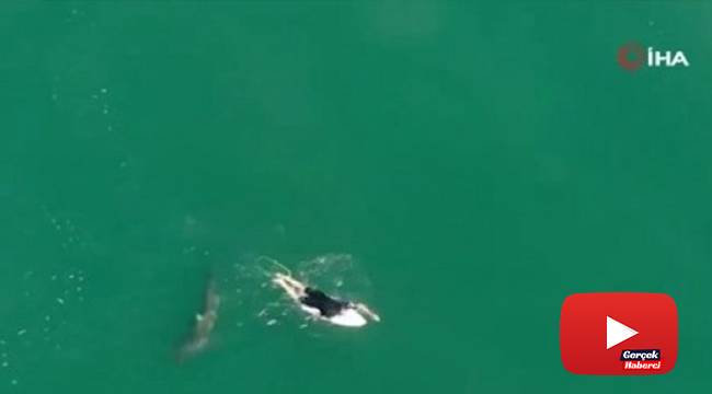 Avustralyalı sörfçü drone sayesinde köpek balığı saldırısından kurtuldu