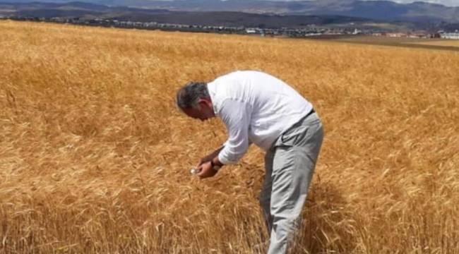 Ayhan Bilgen tutuklanma kararına tepki gösterdi: Hukukun temel ilkeleri yok sayıldı