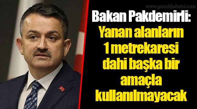 Bakan Pakdemirli: Yanan alanların 1 metrekaresi dahi başka bir amaçla kullanılmayacak