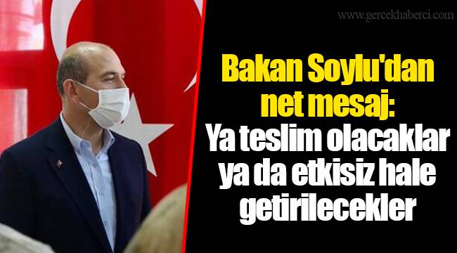 Bakan Soylu'dan net mesaj: Ya teslim olacaklar ya da etkisiz hale getirilecekler