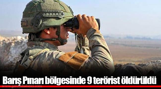 Barış Pınarı bölgesinde 9 terörist öldürüldü