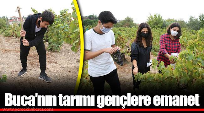 Buca’nın tarımı gençlere emanet