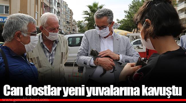 Can dostlar yeni yuvalarına kavuştu