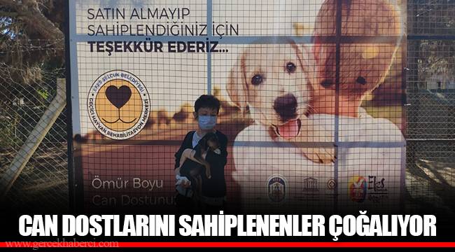 CAN DOSTLARINI SAHİPLENENLER ÇOĞALIYOR