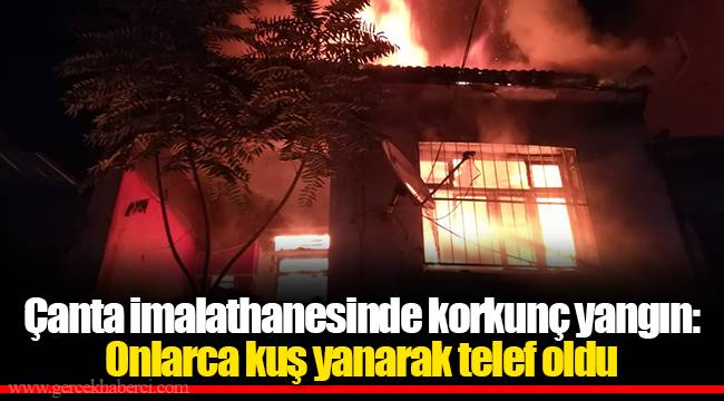 Çanta imalathanesinde korkunç yangın: Onlarca kuş yanarak telef oldu