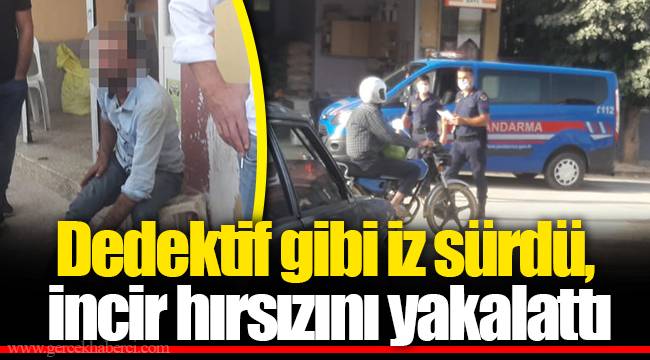 Dedektif gibi iz sürdü, incir hırsızını yakalattı