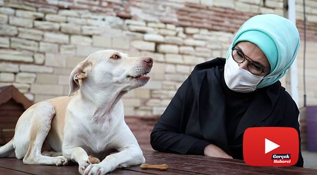 Emine Erdoğan, barınaktaki 'Leblebi' isimli engelli köpeği sahiplendi