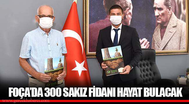 FOÇA’DA 300 SAKIZ FİDANI HAYAT BULACAK