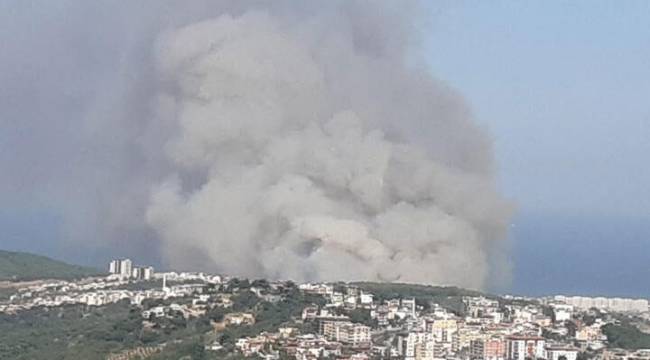 Hatay'da orman yangını: Yerleşim yerlerine sıçradı