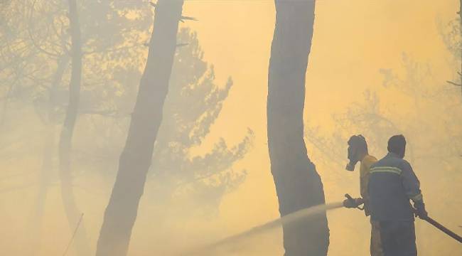 Hatay'daki orman yangınlarıyla ilgili 2 tutuklama