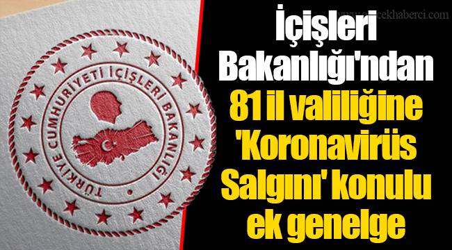 İçişleri Bakanlığı'ndan 81 il valiliğine 'Koronavirüs Salgını' konulu ek genelge