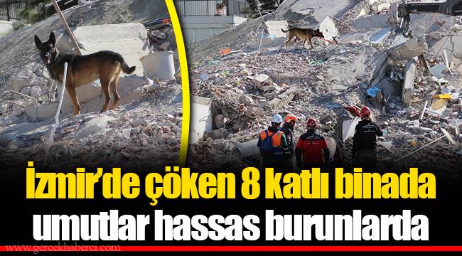 İzmir’de çöken 8 katlı binada umutlar hassas burunlarda