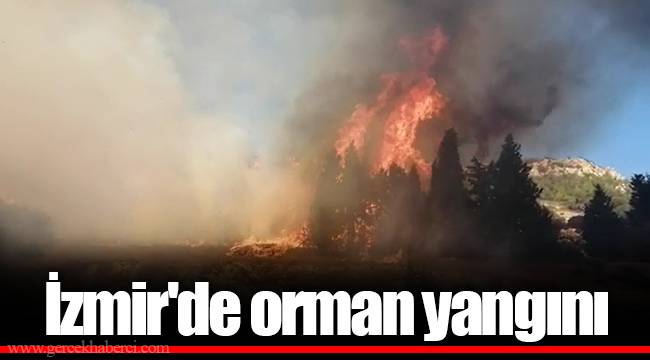 İzmir'de orman yangını