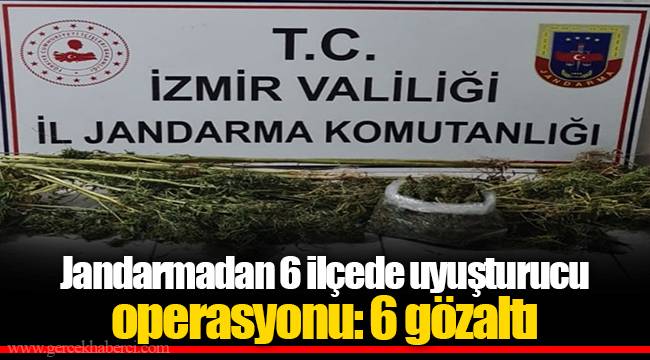 Jandarmadan 6 ilçede uyuşturucu operasyonu: 6 gözaltı