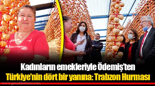 Kadınların emekleriyle Ödemiş’ten Türkiye’nin dört bir yanına: Trabzon Hurması