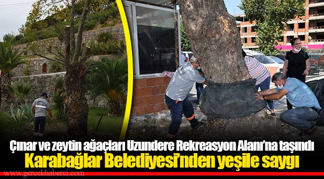Karabağlar Belediyesi’nden yeşile saygı