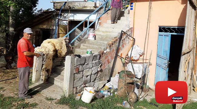Kardeşlerin fıkra gibi arazi kavgası