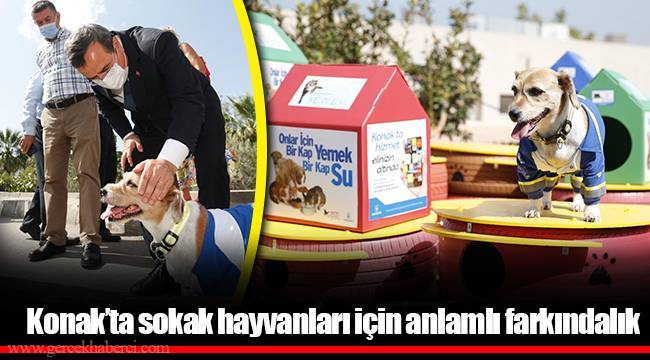 Konak’ta sokak hayvanları için anlamlı farkındalık