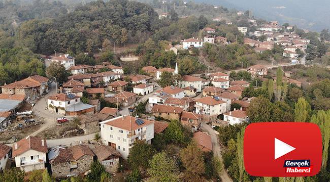 Korona virüs bu köye uğramadı