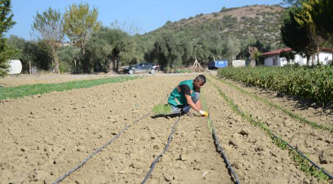 KUŞADASI BELEDİYESİ’NDEN HİZMET TOPRAĞINDAN BEREKET DOĞUYOR