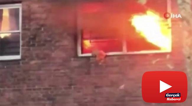 New York’ta alevlerin arasında kalan kedi camdan atlayarak kurtuldu