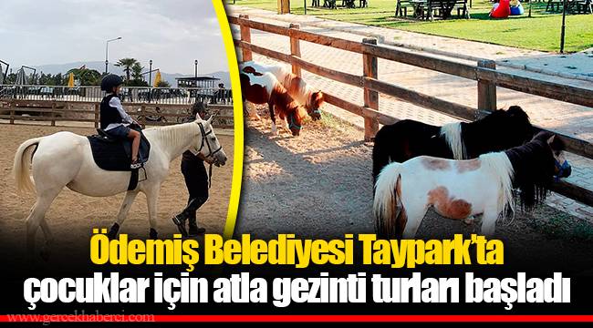 Ödemiş Belediyesi Taypark'ta çocuklar için atla gezinti turları başladı