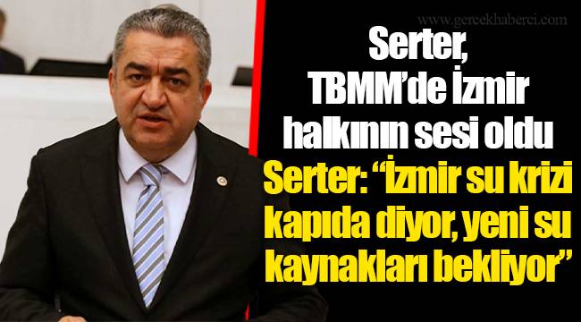 Serter, TBMM’de İzmir halkının sesi oldu