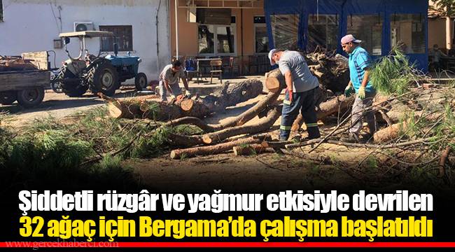 Şiddetli rüzgâr ve yağmur etkisiyle devrilen 32 ağaç için Bergama’da çalışma başlatıldı