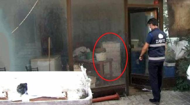 Ucuza satmak yerine depoda bekletilen bir ton balık çürüdü