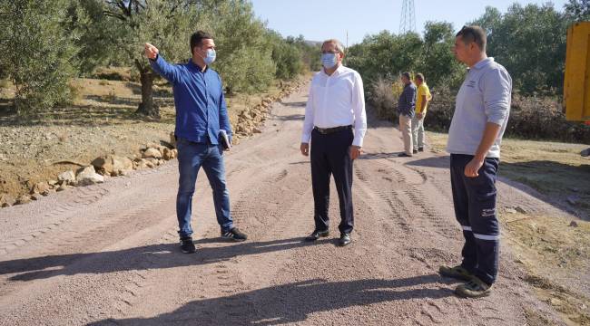 ZEYTİNLİKLER ARASI YOLLARA NEŞTER
