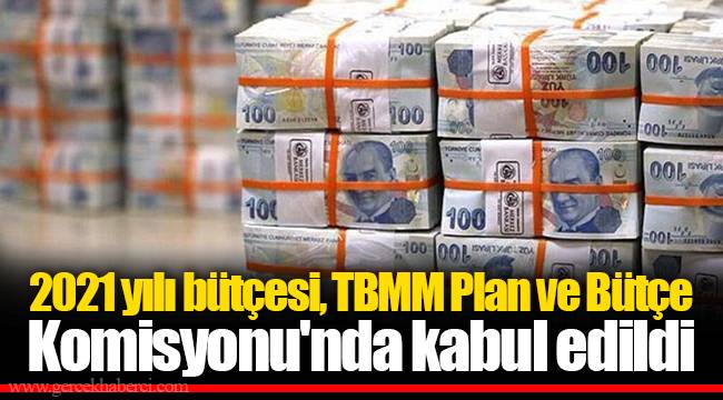 2021 yılı bütçesi, TBMM Plan ve Bütçe Komisyonu'nda kabul edildi