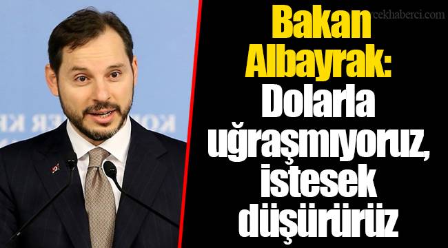 Bakan Albayrak:  Dolarla uğraşmıyoruz,  istesek düşürürüz