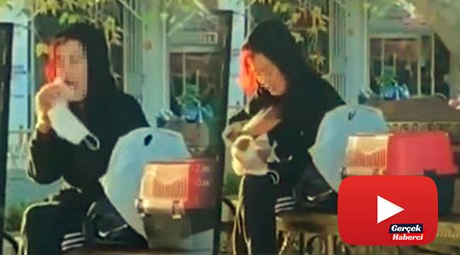 Beslediği hamsterı önce tokatladı, sonra ısırmaya çalıştı