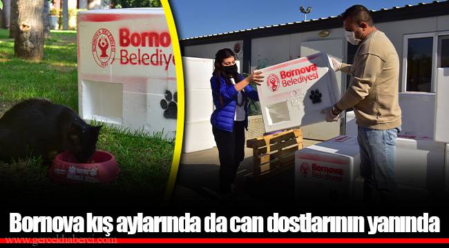 Bornova kış aylarında da can dostlarının yanında