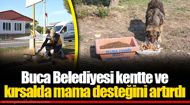 Buca Belediyesi kentte ve kırsalda mama desteğini artırdı