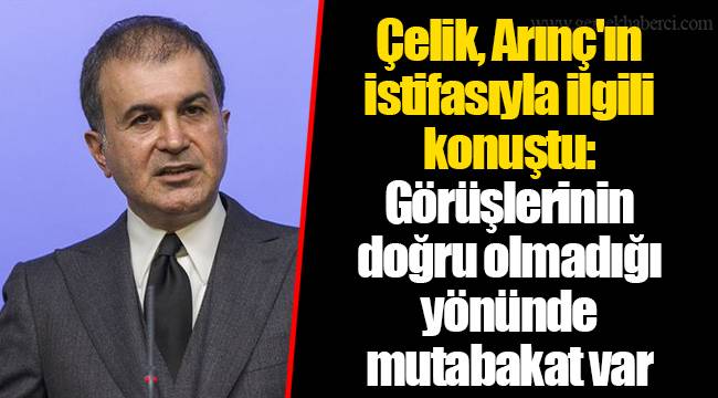 Çelik, Arınç'ın istifasıyla ilgili konuştu: Görüşlerinin doğru olmadığı yönünde mutabakat var