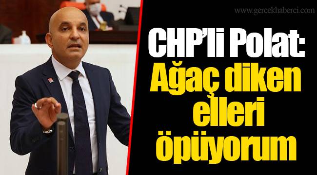 CHP'li Polat: Ağaç diken elleri öpüyorum