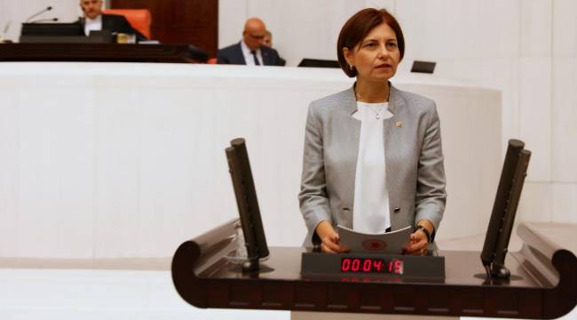 CHP Milletvekili Emine Gülizar Emecan, Koronavirüs'e yakalandı