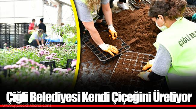Çiğli Belediyesi Kendi Çiçeğini Üretiyor