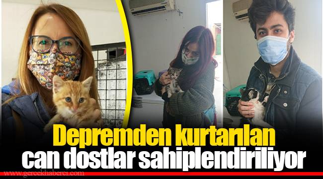 Depremden kurtarılan can dostlar sahiplendiriliyor