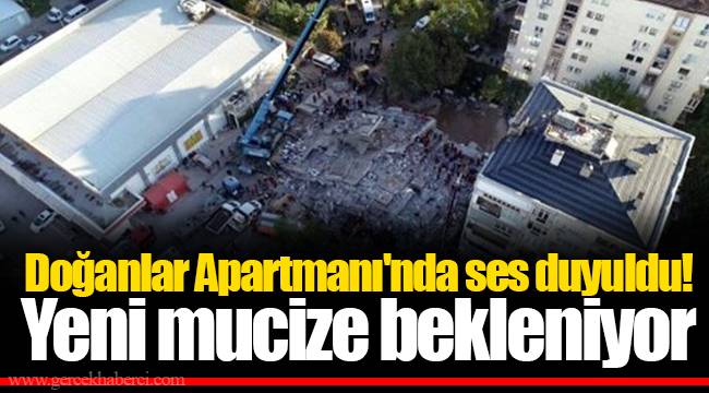 Doğanlar Apartmanı'nda ses duyuldu! Yeni mucize bekleniyor