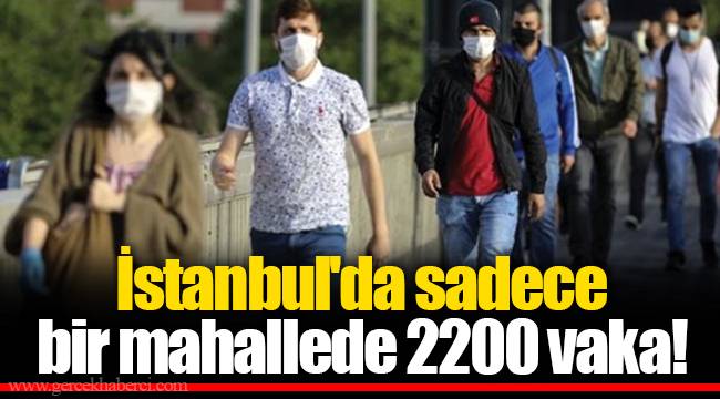 İstanbul'da sadece bir mahallede 2200 vaka!