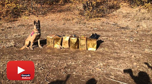 Jandarma Bitlis'te 100 kilogram patlayıcı madde ele geçirdi