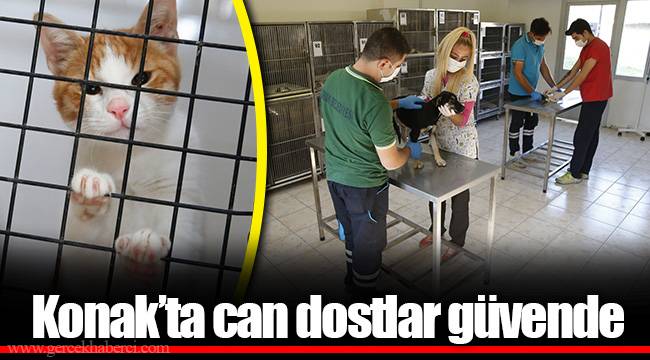 Konak’ta can dostlar güvende