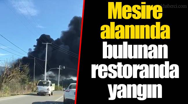 Mesire alanında bulunan restoranda yangın