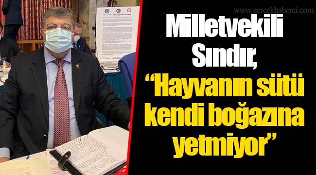 Milletvekili Sındır, “Hayvanın sütü kendi boğazına yetmiyor”