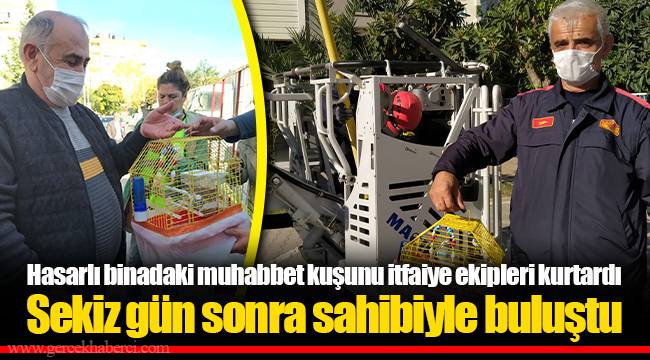 Sekiz gün sonra sahibiyle buluştu