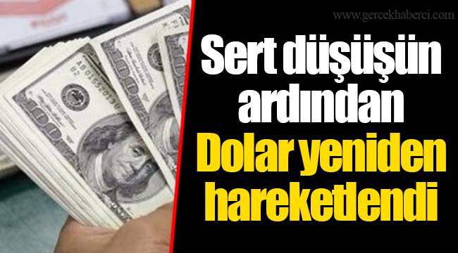 Sert düşüşün ardından Dolar yeniden hareketlendi