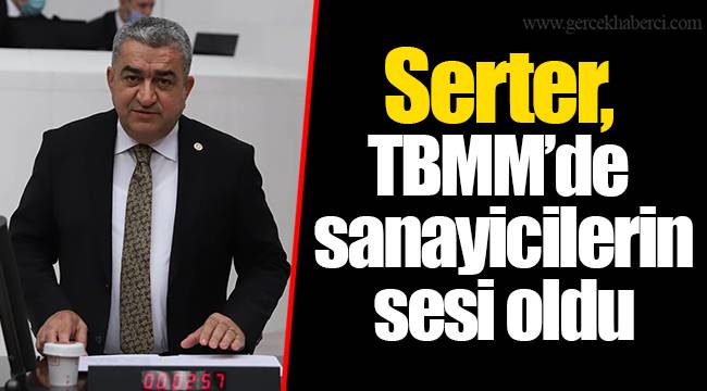 Serter, TBMM'de sanayicilerin sesi oldu