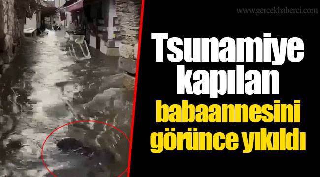 Tsunamiye kapılan babaannesini görünce yıkıldı